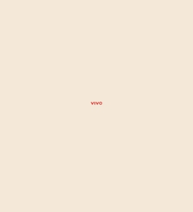 Сайт компании «Vivo Group» www.vivo.pw